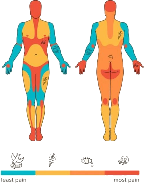 Tattoo Pain Chart 